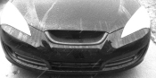 Miss Emilina's 2011 Hyundai Genesis Coupe | Accent | Sonata | Elantra | Santa Fe | Veloster | Equus | HYUNDAI AFTERMARKET