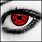 Xavier's Avatar