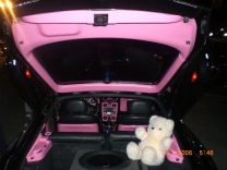 Miss Judith's 2003 Hyundai Tiburon | Tiburon | Accent | Sonata | Elantra | Genesis | Santa Fe | Veloster | Equus | HYUNDAI AFTERMARKET