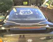 Miss Zoe's 2001 Hyundai Tiburon | Accent | Sonata | Elantra | Genesis | Santa Fe | Veloster | Equus | HYUNDAI AFTERMARKET